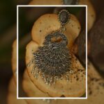 Women's Oxidised Peacock Jhumka Earrings – Handcrafted Antique Silver-Tone Ethnic Jewelry