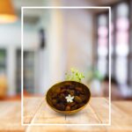 Wooden Bowl 6 – Handcrafted Natural Wood Serving Bowl for Fruits, Salads & Décor